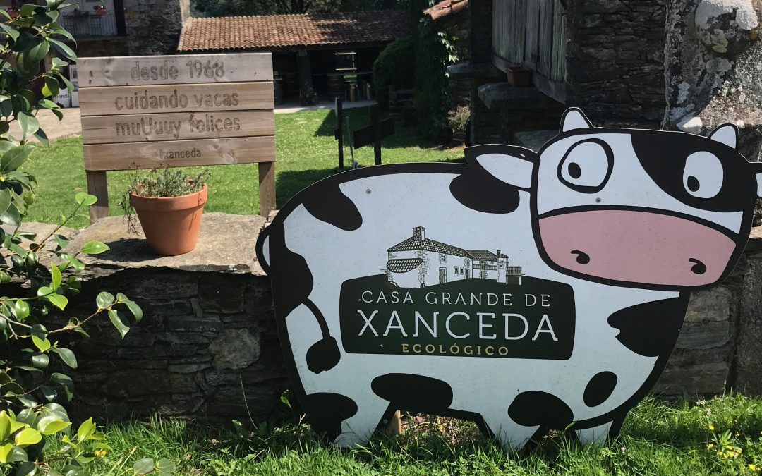 Viaje a Xanceda